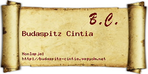 Budaspitz Cintia névjegykártya